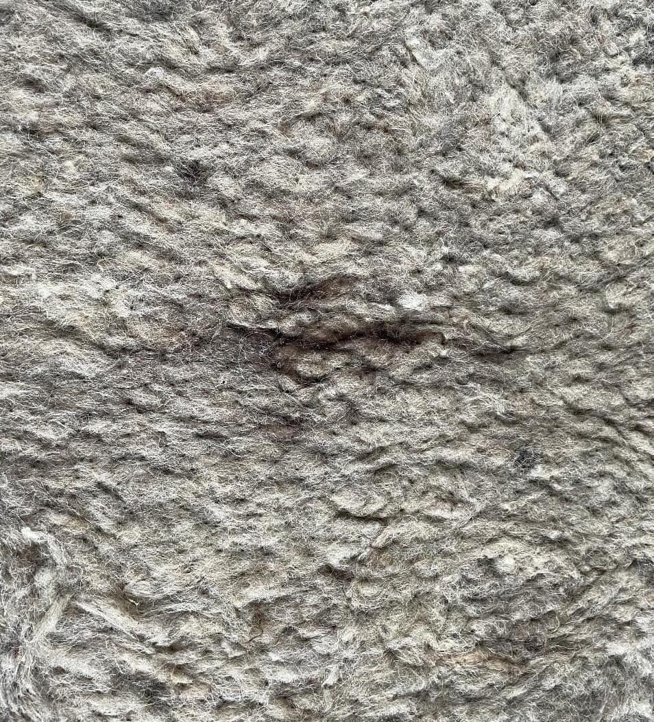 Mariana Chkonia - The Night of a Wolf-Headed King