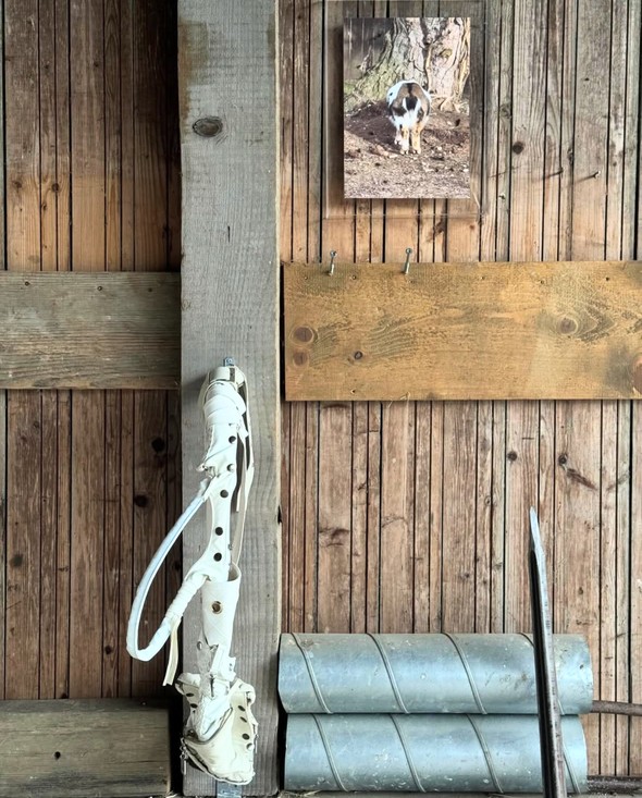 ხელოვნების ბაზრობები